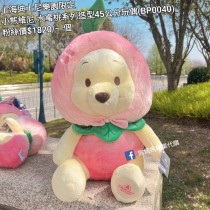 上海迪士尼樂園限定 小熊維尼 水蜜桃系列造型45公分玩偶 (BP0040)