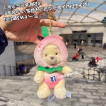 上海迪士尼樂園限定 小熊維尼 水蜜桃系列造型玩偶吊飾 (BP0028)